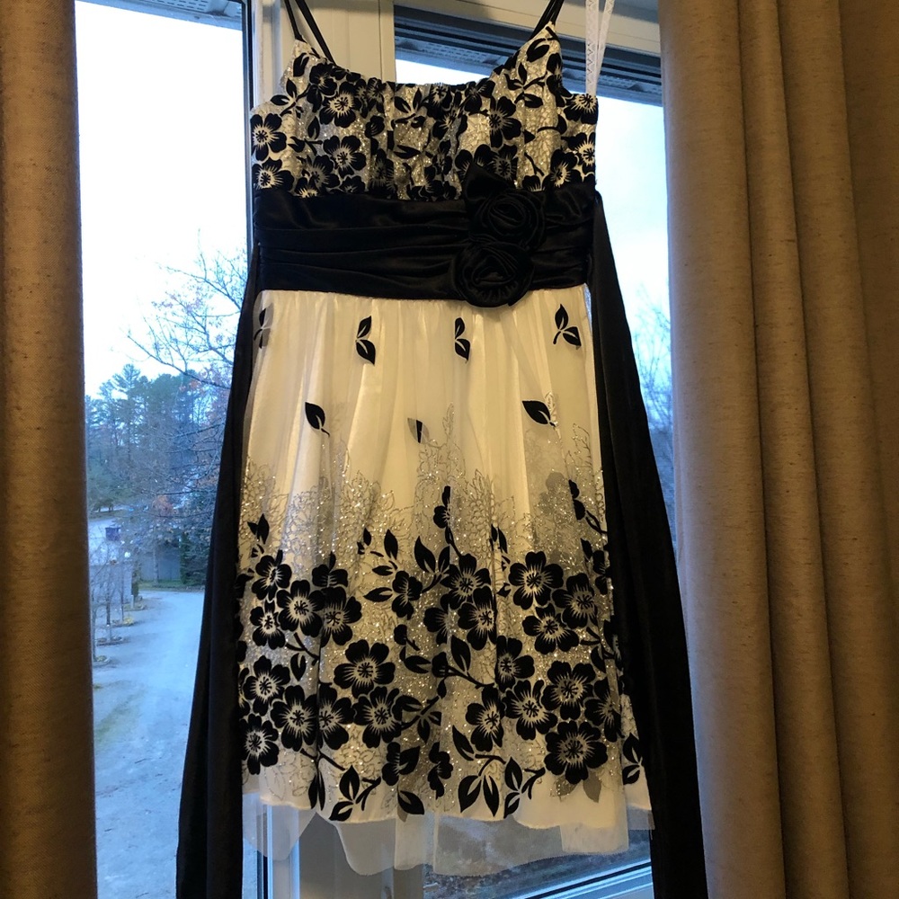 Graduation / Prom Dress - Picture 5 of 5